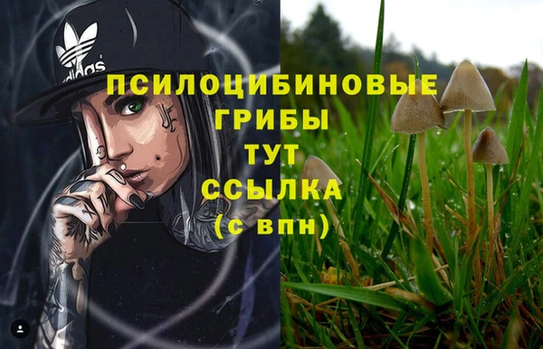 первитин Заволжье