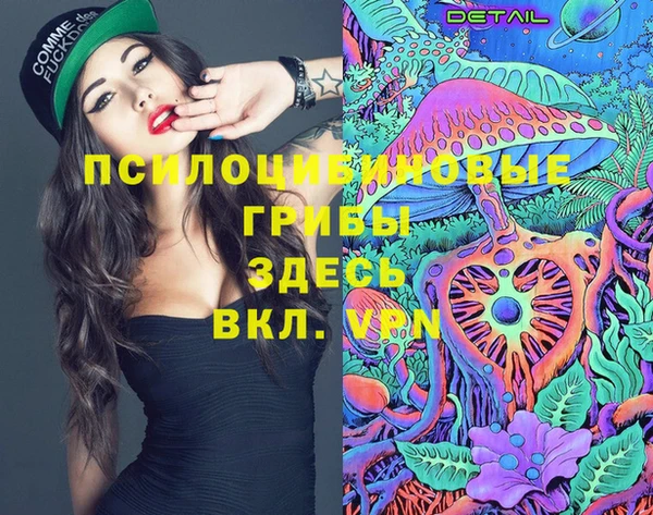 таблы Заводоуковск