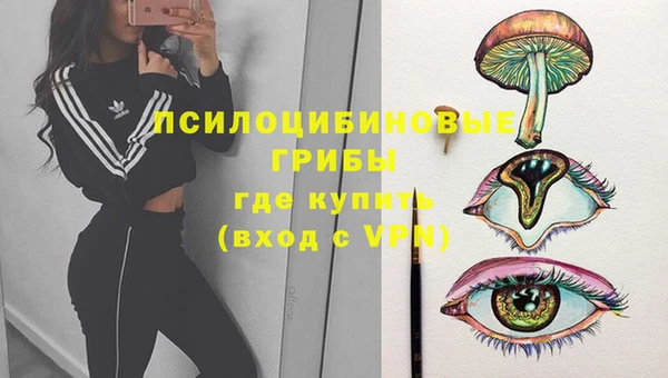 первитин Заволжье