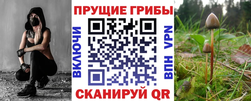 Купить где  Верхняя Салда  Галлюциногенные грибы Psilocybine cubensis 